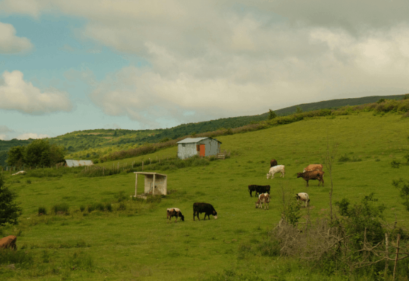 Can You Put a Farm into a Trust to Avoid Inheritance Tax