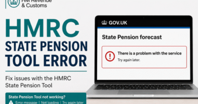 hmrc state pension tool error