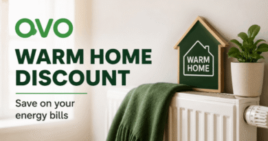 ovo warm home discount